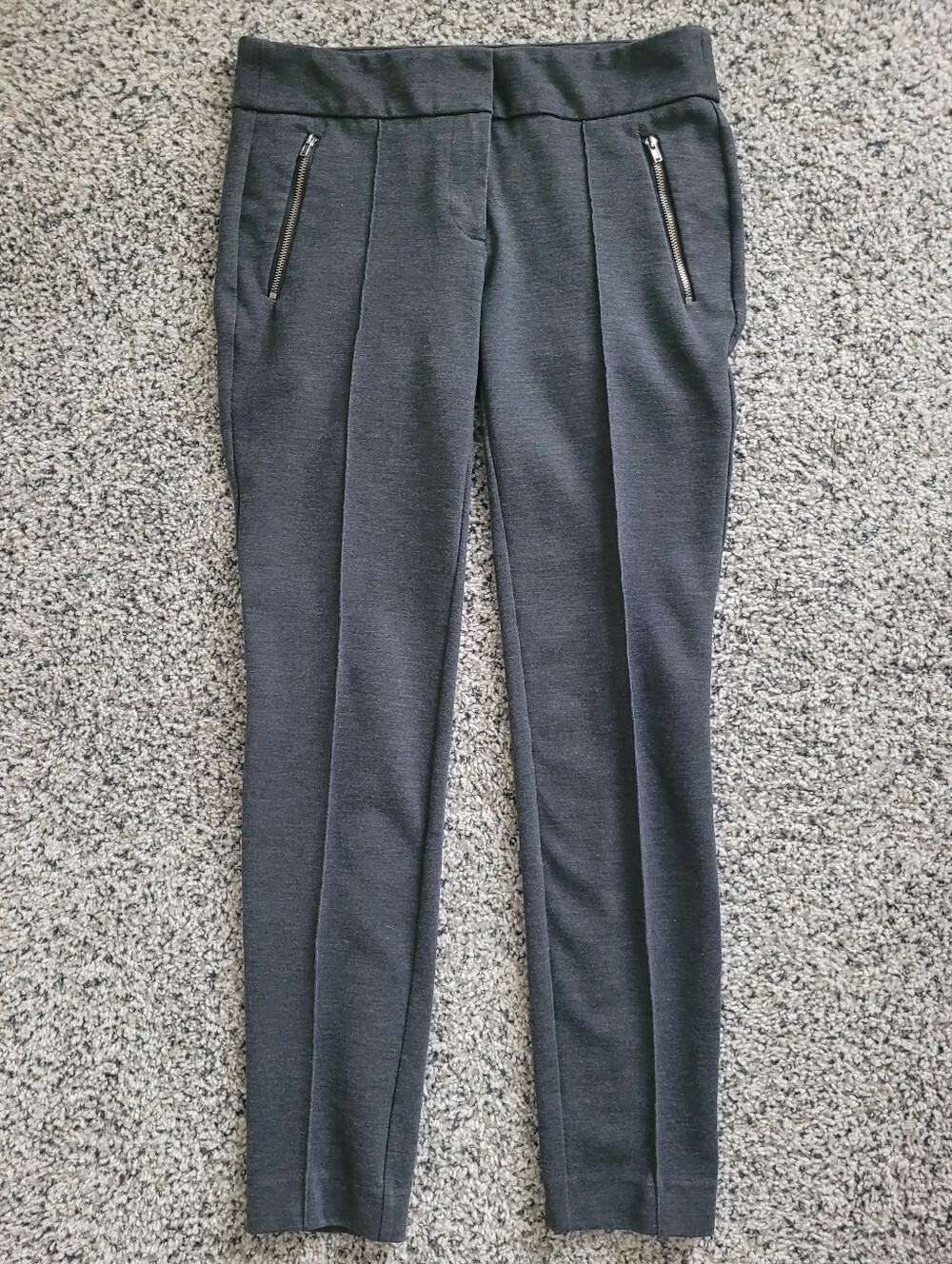 LOFT Pleated Dress Pants